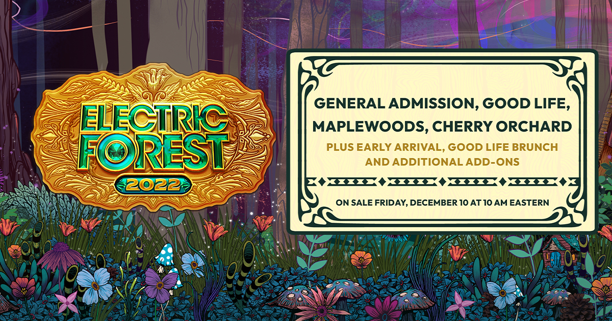 Electric Forest Rave Hackers