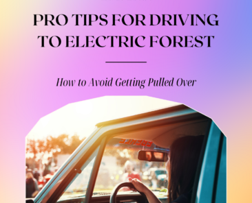 tips for driving to electric forest